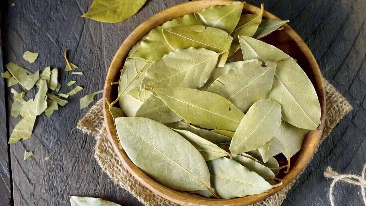 तमालपत्र : झुरळांपासून मुक्त होण्यासाठी तमालपत्र देखील उपयुक्त ठरू शकते. तमालपत्राची पावडर करा आणि किचनमध्ये कोपऱ्यात व्यवस्थितरित्या पेस्ट करून लावा. तसेच पाण्यात तमालपत्र घाला आणि ते उकळी आणा. आता झुरळांवर फवारण्यासाठी हे तमालपत्राचे पाणी वापरा.