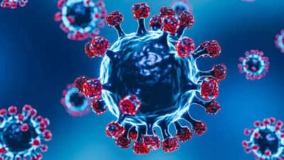 COVID-19 चा वाढता हाहाकार, कसा कराल स्वतःचा बचाव, जाणून घ्या प्रभावी पद्धत