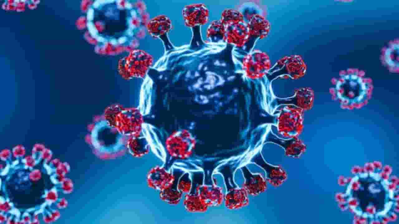 Corona Virus : महाराष्ट्रात कोरोनाचे नवीन 89 रुग्ण; सर्वाधिक रुग्णसंख्या मुंबईत
