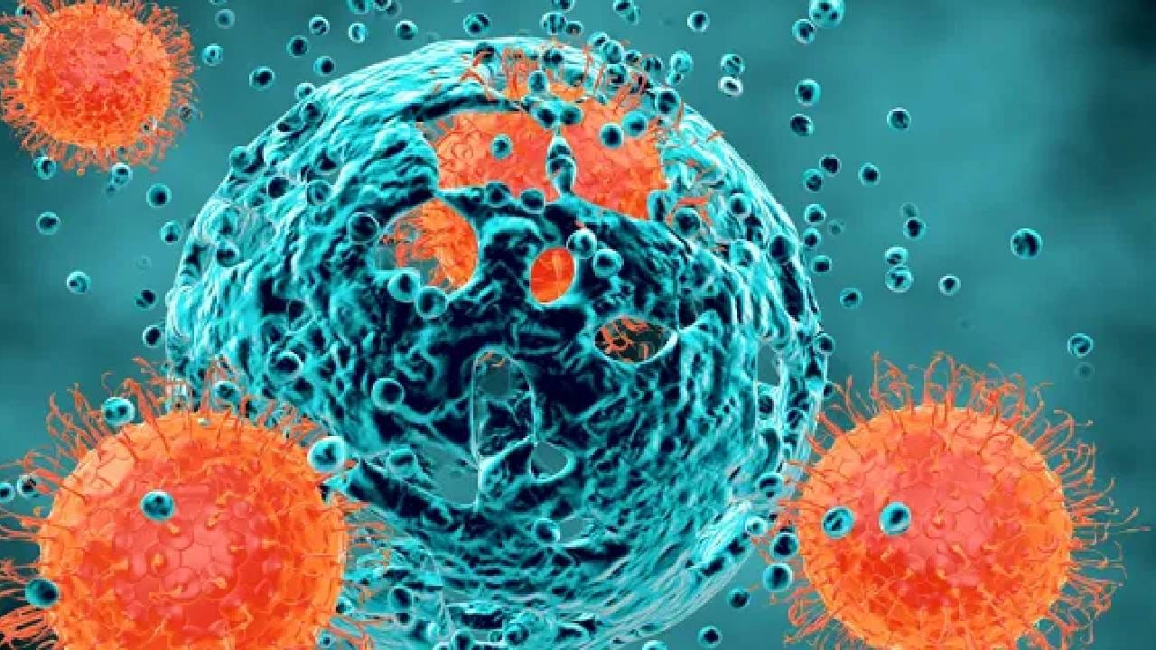 हाँगकाँगमधील सेंटर फॉर हेल्थ प्रोटेक्शनच्या संसर्गजन्य रोग विभागाचे प्रमख अल्बर्ट आऊ यांनी हाँगकाँगच्या स्थितीविषयी सविस्तर सांगितलं आहे. त्यांनी सांगितल्यानुसार हाँगकाँगमध्ये कोरोनाचा प्रसार वाढला आहे. गेल्या वर्षानंतर यावेळी विषाणूच्या प्रसाराचे प्रमाण सर्वाधिक असल्याचे त्यांनी सांगितले आहे. तीन महिन्यांत कोरोनाची लागण झालेल्या गंभीर रुग्णाची संख्या 31 पर्यंत पोहोचली आहे. 