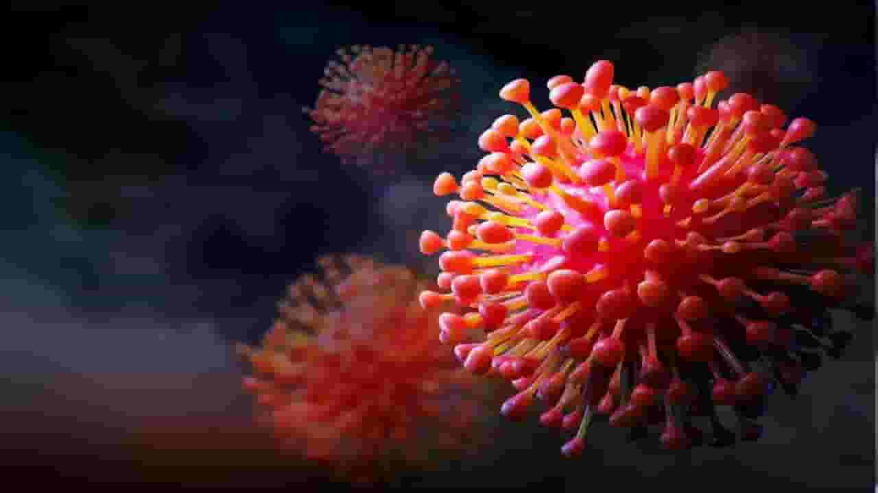 COVID-19 cases in India:  भारतात पुन्हा कोरोनाचा फैलाव, देशात 257 रूग्ण तर मुंबईचा आकडा ऐकून भरेल धडकी