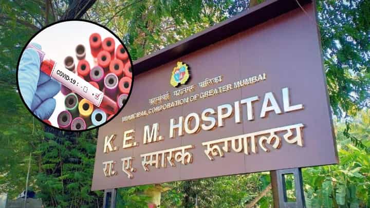 Covid 19 : मुंबईत पुन्हा कोरोनाची एन्ट्री? केईएममध्ये कोरोनाबाधित 2 रुग्णांचा मृत्यू, नेमकं काय प्रकरण? Covid 19 : मुंबईत पुन्हा कोरोनाची एन्ट्री? केईएममध्ये कोरोनाबाधित 2 रुग्णांचा मृत्यू, नेमकं काय प्रकरण?