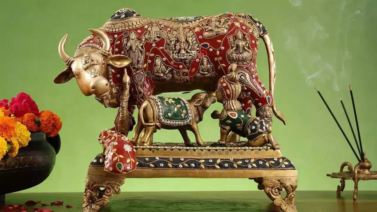   हिंदू धर्मात गाय पूज्यनीय आहे. गायीला मातेचा दर्जा दिलेला आहे. घरात पितळेची गाय ठेवणे हे शूभ मानले जाते. असे केल्यास जीवनात सुख तसेच समृद्धी मिळते असे सांगितले जाते. 