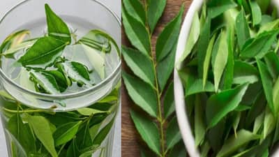 curry leaves benefits: सकाळी रिकाम्या पोटी हा हिरवा पाला खा, बदलत्या ऋतूमध्ये निरोगी शरीर मिळवा....