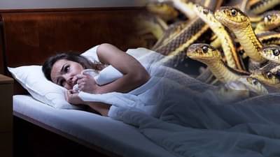 तुमच्यासोबतही वारंवार या घटना घडतात का? तर तुमच्याही कुंडलीमध्ये असू शकतो कालसर्प दोष