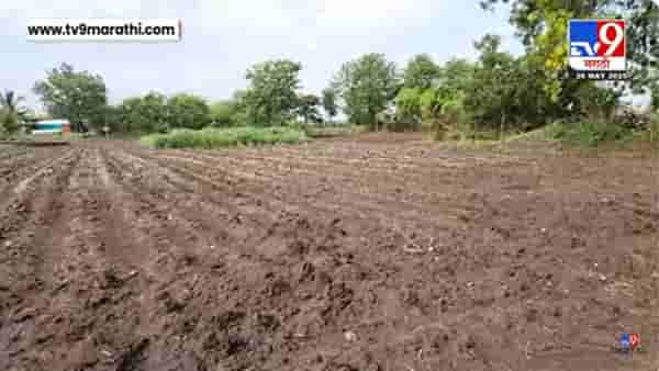 Early Monsoon Effect : मान्सूनचा वेळेआधीच धप्पा; खरीपाची पेरणी पूर्व कामं बाकी, शेतकरी चिंतेत