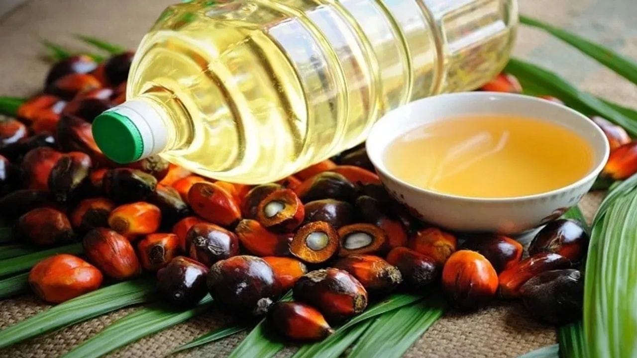 विकास दराची आकडेवारी येताच केंद्राकडून सर्वसामान्यांना गिफ्ट, खाद्यतेल स्वस्त होणार