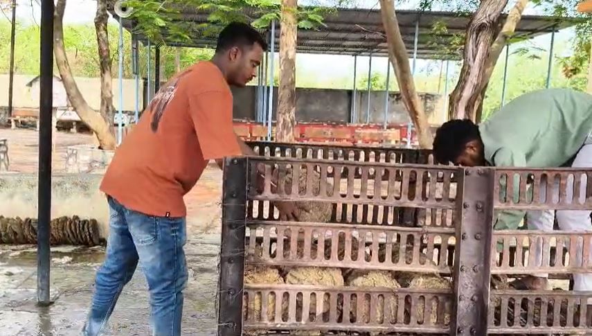 मात्र, दुसऱ्या दिवशी सकाळी 8 वाजता अस्थी संकलन व रक्षा विसर्जनासाठी नातेवाईक स्मशानभूमीत गेल्यावर अस्थी व रक्षा गायब असल्याचे नातेवाईकांच्या लक्षात आले.