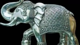 Vastu Tips : घरात हत्तीची मूर्ती ठेवण्याचे आहेत फायदेच फायदे.