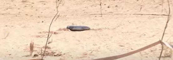 मिळालेल्या माहितीनुसार राजस्थानमधील जैसलमेर येथे पाकिस्तानने डागलेली एक मिसाईल सापडली आहे. ही मिसाईल अद्याप फुटलेली नाही. 