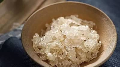 Gond Katira: गोंद कतीऱ्यामुळे तुमच्या आरोग्याला धोका? खरं की खोटं जाणून घ्या एका क्लिक वर....