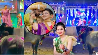 Vaishnavi Hagawane Case : सुनांना मारझोड करणाऱ्या हगवणेंचा आणखी एक उद्योग समोर, बैलासमोर नाचवलं गौतमी पाटीलला, VIDEO व्हायरल