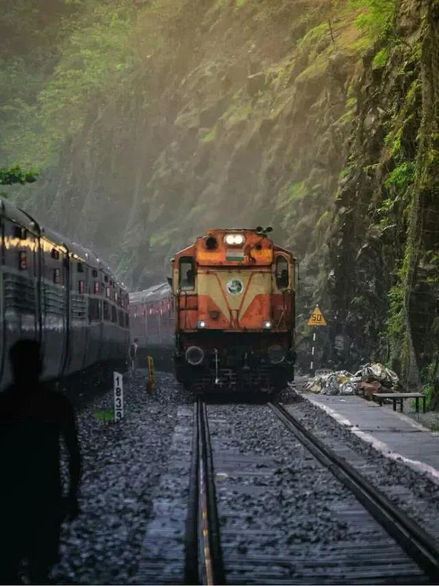 ट्रेनमधून विना तिकिट प्रवास करताय? सावधान! होऊ शकते जेल ट्रेनमधून विना तिकिट प्रवास करताय? सावधान! होऊ शकते जेल