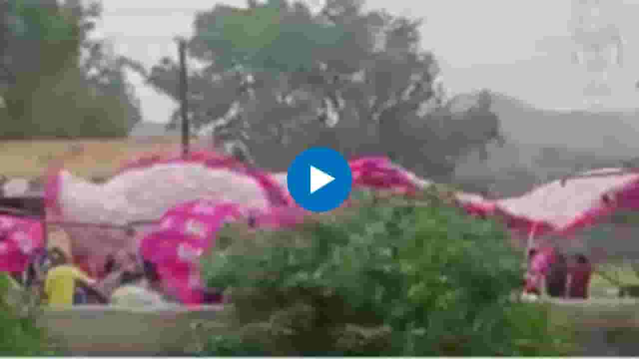 Jalna Rain Updates : जालन्यात वादळी वारा अन् पाऊस; लग्नाचा मंडप उडाला, वऱ्हाडाचे हाल Jalna Rain Updates : जालन्यात वादळी वारा अन् पाऊस; लग्नाचा मंडप उडाला, वऱ्हाडाचे हाल