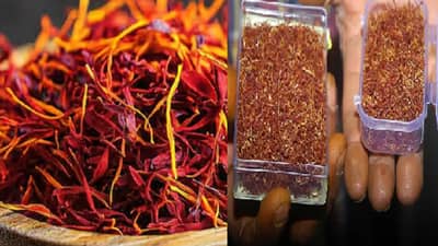 एका अशा गुप्त मसाल्याची शेती, जी तुम्हाला शून्यातून लाखोपर्यंत घेऊन जाऊ शकते! कसं? वाचा सविस्तर