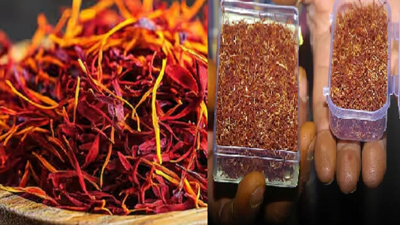 एका अशा गुप्त मसाल्याची शेती, जी तुम्हाला शून्यातून लाखोपर्यंत घेऊन जाऊ शकते! कसं? वाचा सविस्तर