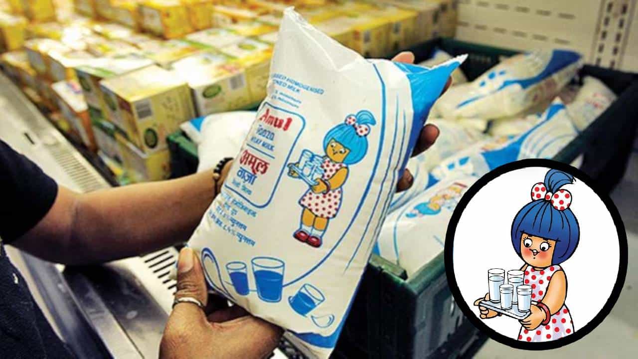 Amul Milk : तुम्ही अमूल दूध खरेदी करतात? तुमच्यासाठी महत्त्वाची बातमी Amul Milk : तुम्ही अमूल दूध खरेदी करतात? तुमच्यासाठी महत्त्वाची बातमी