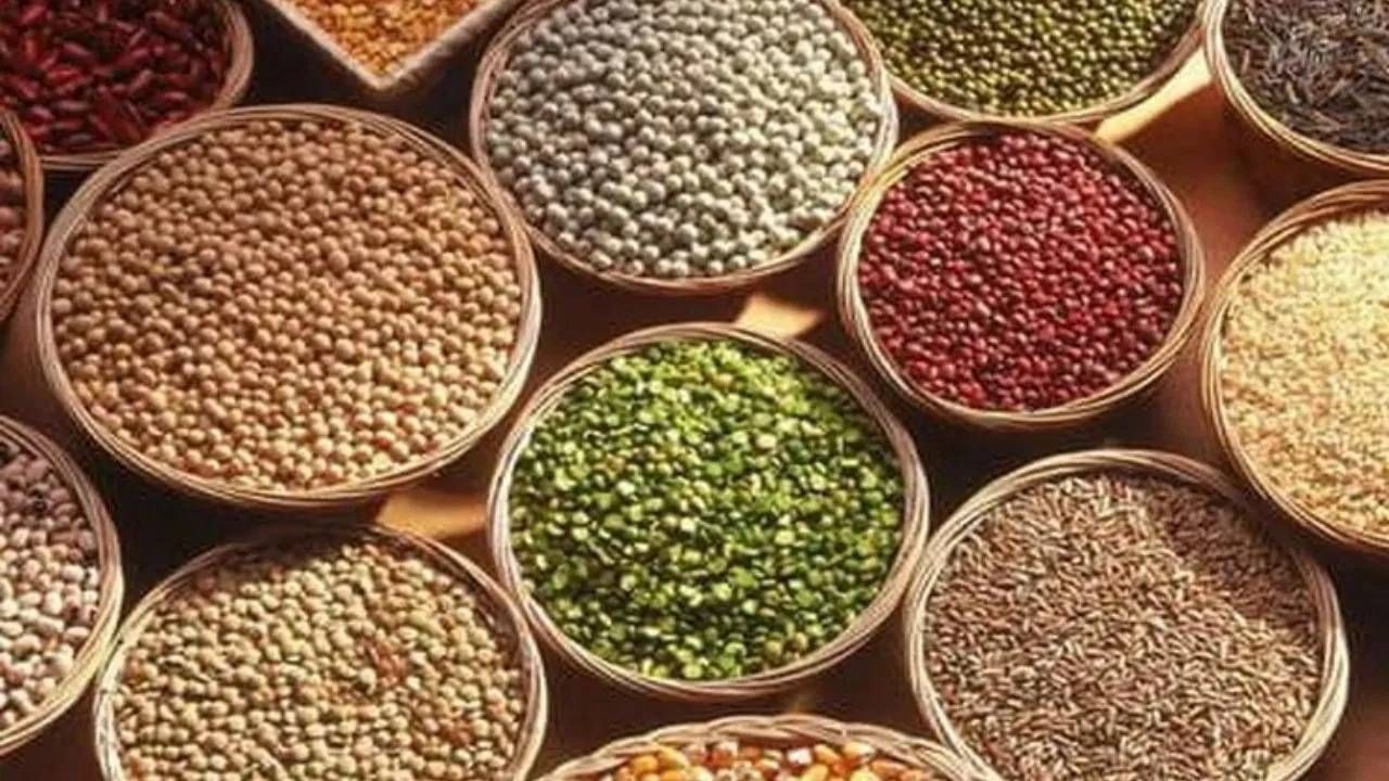 गुजराती आणि मराठी भाषांमध्ये, "मोदी" हा शब्द धान्य, डाळी किंवा किराणा मालाचा व्यापार करणाऱ्या व्यक्तीबद्दल सूचित करतो. हा शब्द पूर्वी एखाद्या व्यवसायाशी देखील जोडला जात असे.