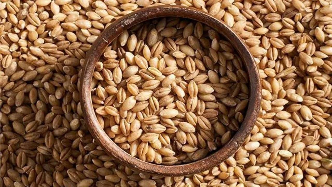 पूर्वीच्या काळात, अनेक "मोदी" कुटुंबे किराणा व्यापारी, तेल व्यापारी किंवा धान्य व्यापारी होती.