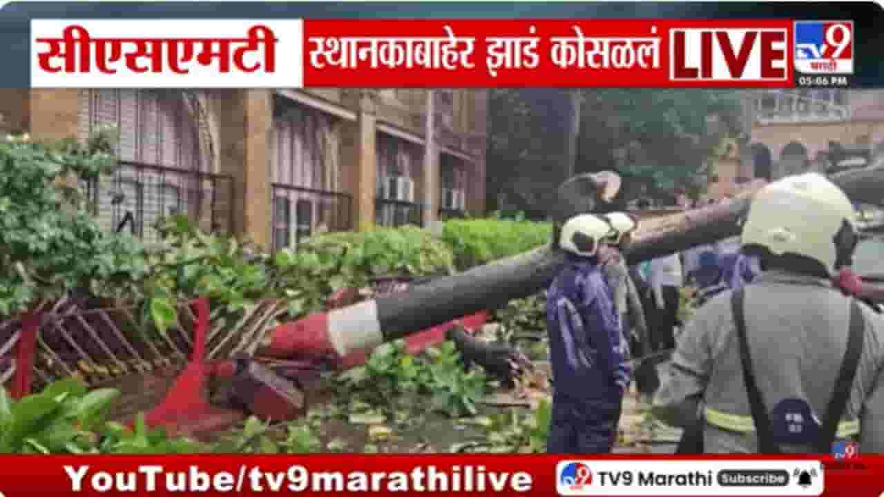 Mumbai Rain Updates : सीएसएमटी स्थानकाबाहेरचं जुनं झाड कोसळलं Mumbai Rain Updates : सीएसएमटी स्थानकाबाहेरचं जुनं झाड कोसळलं