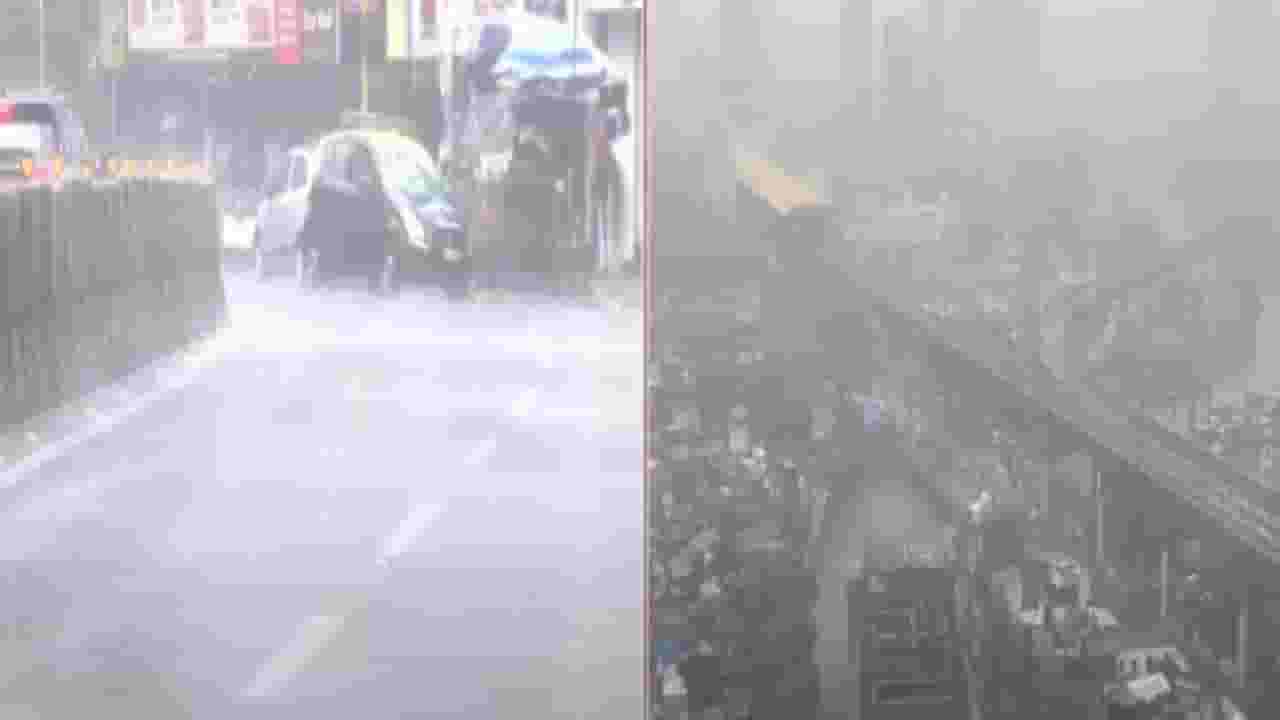 Mumbai rain : पुन्हा पावसाची जोरदार बॅटिंग सुरू, तुफान वाऱ्यासह मुसळधार, मुंबईसह उपनगरात कुठे पावसाचं कमबॅक? Mumbai rain : पुन्हा पावसाची जोरदार बॅटिंग सुरू, तुफान वाऱ्यासह मुसळधार, मुंबईसह उपनगरात कुठे पावसाचं कमबॅक?