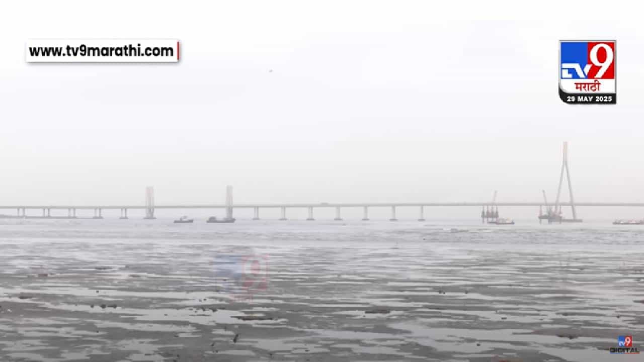 Maharashtra Weather :  मुंबईसह राज्याला IMD चा अलर्ट, कोणत्या जिल्ह्यात पुन्हा धुव्वाधार? हवामान खात्याचा अंदाज काय?