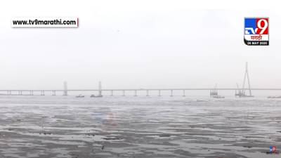 Maharashtra Weather :  मुंबईसह राज्याला IMD चा अलर्ट, कोणत्या जिल्ह्यात पुन्हा धुव्वाधार? हवामान खात्याचा अंदाज काय?