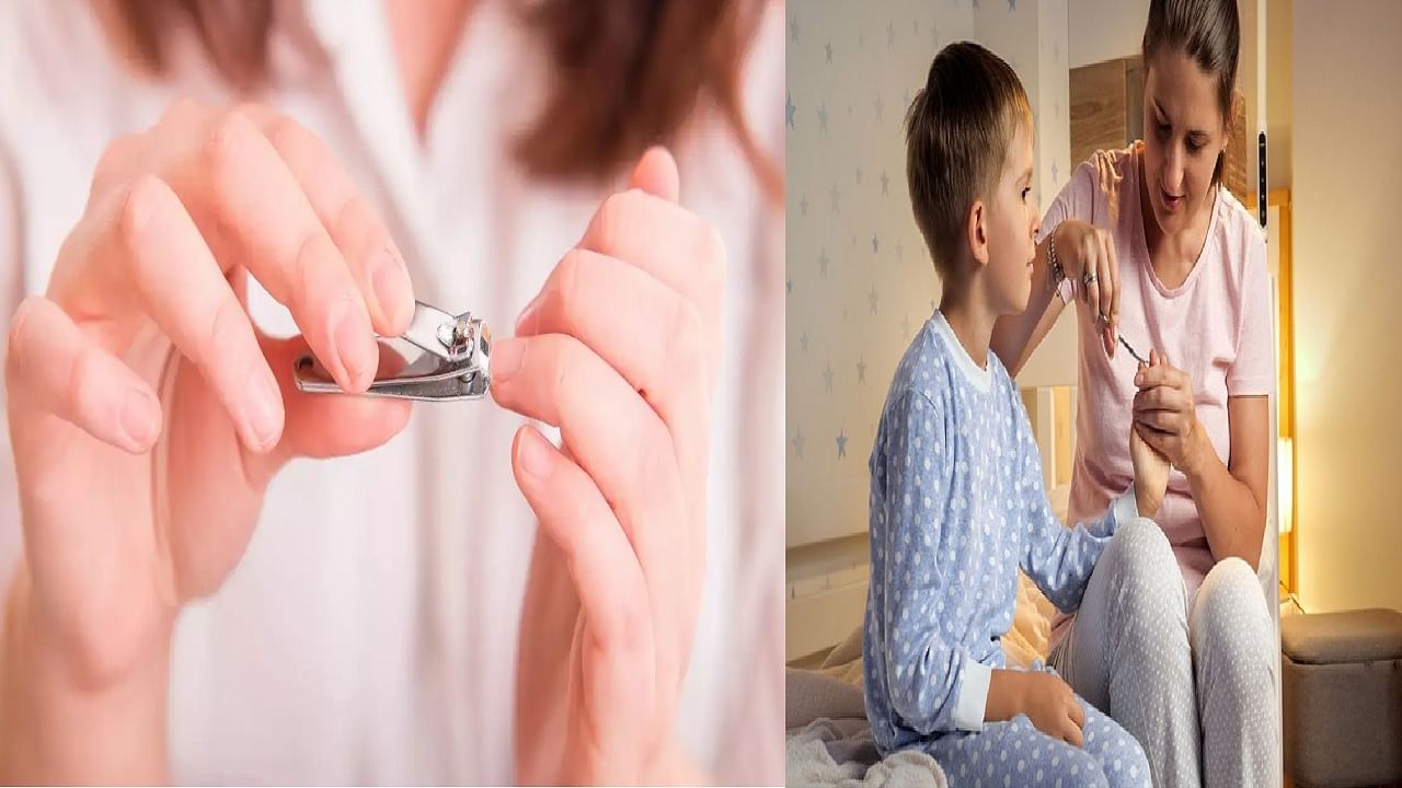 या दिवशी चुकूनही नखे कापू नयेत, येते दारिद्र्य, जाणून घ्या कोणता दिवस सर्वोत्तम या दिवशी चुकूनही नखे कापू नयेत, येते दारिद्र्य, जाणून घ्या कोणता दिवस सर्वोत्तम