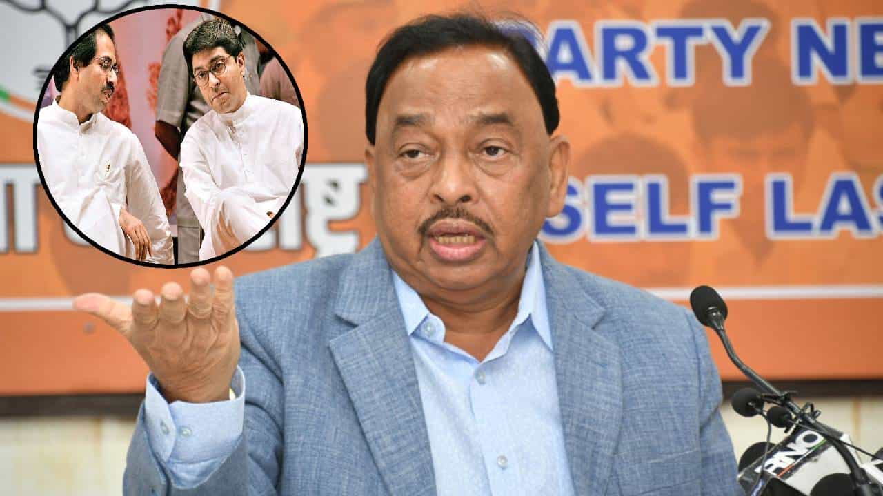 Narayan Rane : 20+0 बरोबर किती? खोचक सवाल करत राणेंचा एकत्र येण्याच्या चर्चांवरून ठाकरे बंधूंना टोला
