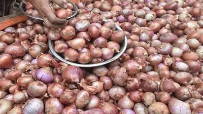 पावसाळ्यात कांदे लवकर खराब होतात? या 7 स्मार्ट स्टोरेज टिप्सने तुमचं नुकसान वाचवा