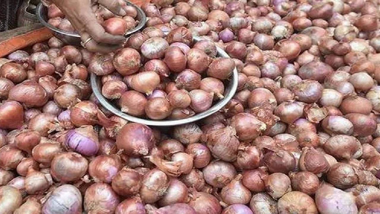 पावसाळ्यात कांदे लवकर खराब होतात? या 7 स्मार्ट स्टोरेज टिप्सने तुमचं नुकसान वाचवा पावसाळ्यात कांदे लवकर खराब होतात? या 7 स्मार्ट स्टोरेज टिप्सने तुमचं नुकसान वाचवा