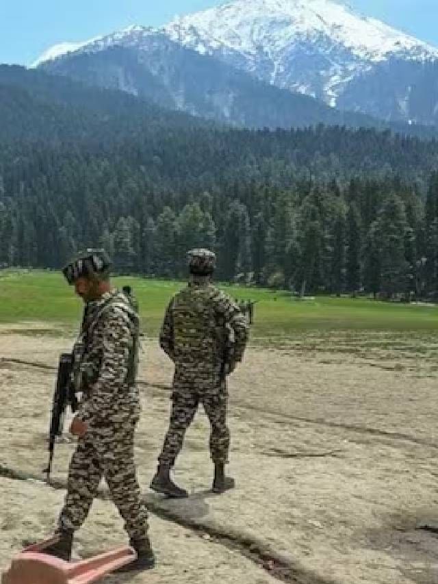 50 ग्रॅम सोन्यापेक्षाही ‘हा’ मसाला महाग; पहलगाम हल्ल्यानंतर वाढली किंमत