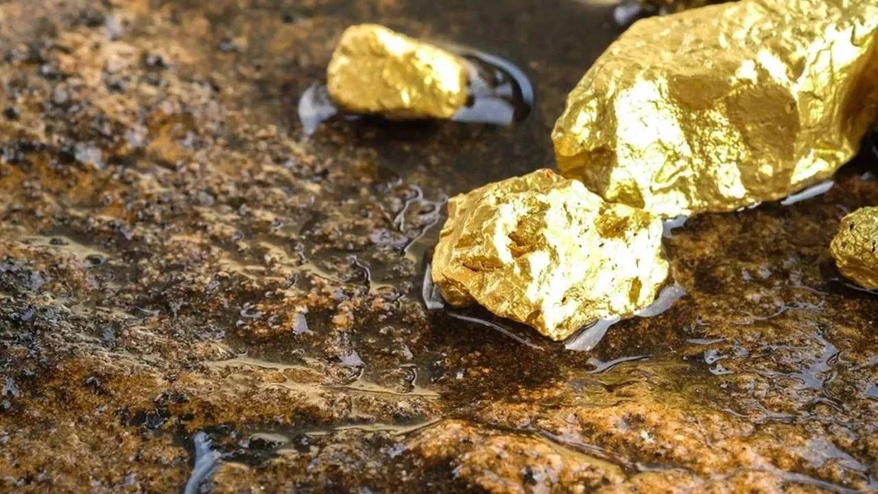 पाकिस्तान हे भारताचे शत्रूराष्ट्र आहे. हा देश कधीकाळी भारताचाच भाग होता. भारताप्रमाणेच याही देशात खनिजांचं भांडार आहे. अकिलकडेच पाकिस्ताचनच्या सिंधू नदीच्या किनार्यावर सोन्याचे मोठे भांडार सापडले आहे.