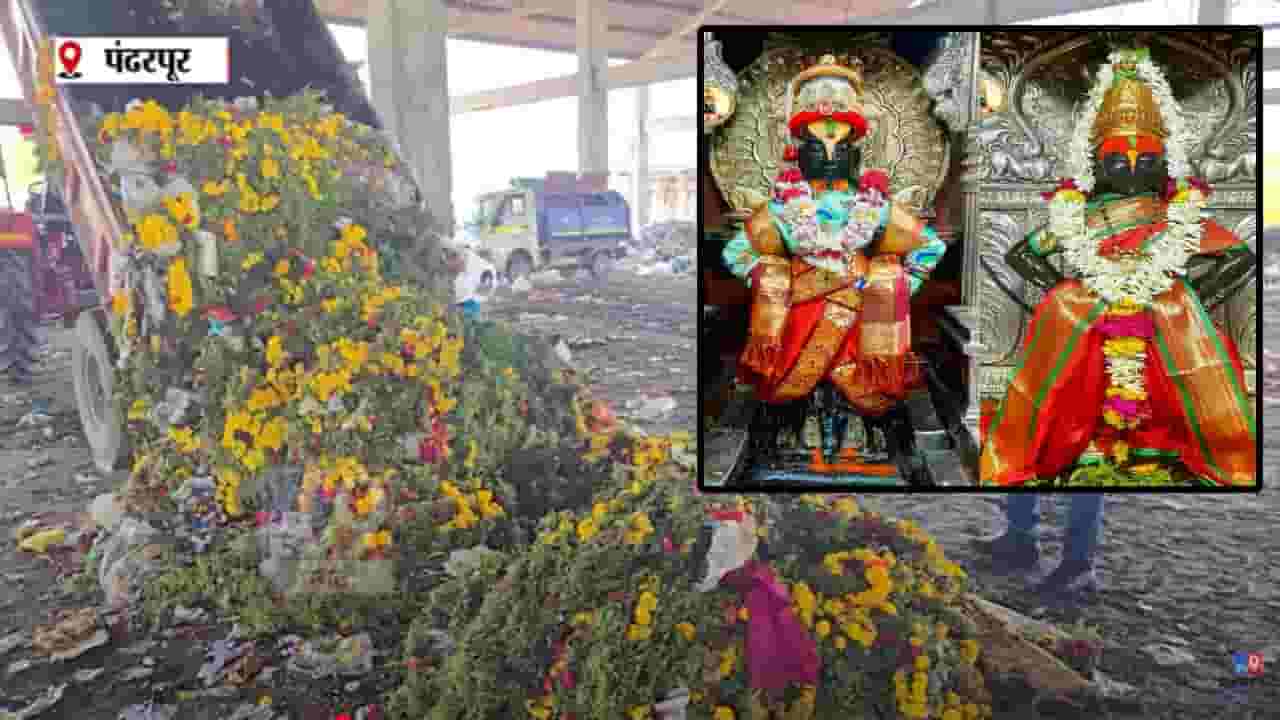 Pandharpur विठ्ठल-रुक्मिणी मंदिर समितीकडून भाविकांच्या श्रद्धेचा अपमान, विठुरायाला वाहिलेले हार थेट कचऱ्यात Pandharpur विठ्ठल-रुक्मिणी मंदिर समितीकडून भाविकांच्या श्रद्धेचा अपमान, विठुरायाला वाहिलेले हार थेट कचऱ्यात