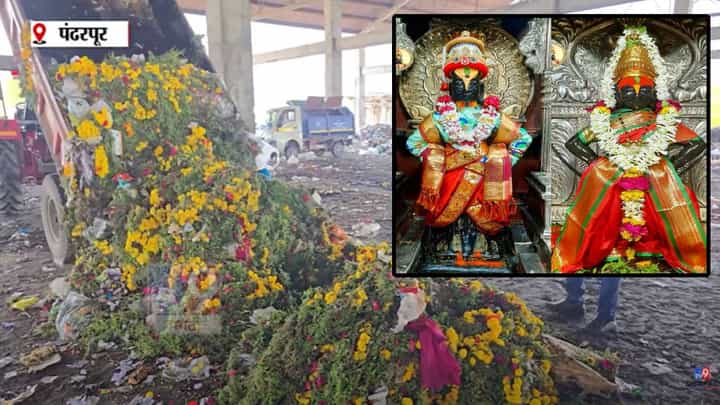 Pandharpur विठ्ठल-रुक्मिणी मंदिर समितीकडून भाविकांच्या श्रद्धेचा अपमान, विठुरायाला वाहिलेले हार थेट कचऱ्यात Pandharpur विठ्ठल-रुक्मिणी मंदिर समितीकडून भाविकांच्या श्रद्धेचा अपमान, विठुरायाला वाहिलेले हार थेट कचऱ्यात