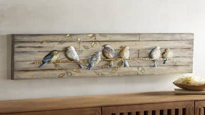 घरातील या दिशेला पक्ष्यांचे फोटो लावल्यास घरात नांदेल सुख शांती.....