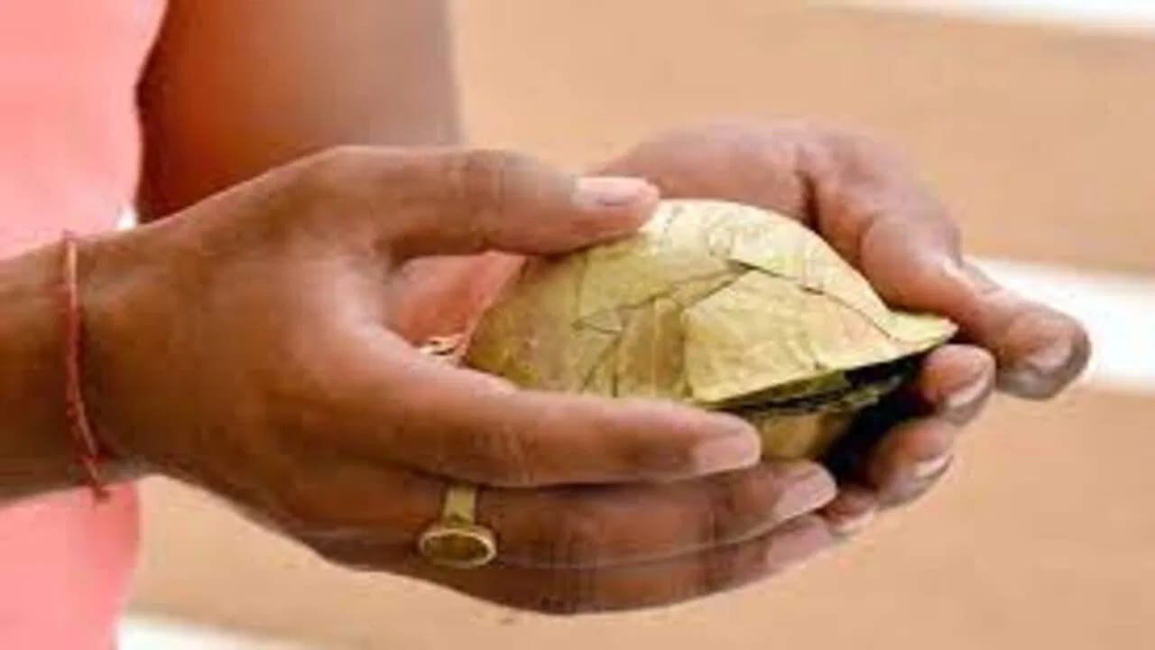 याचे एक मुख्य कारण म्हणजे आपण आपली दैनंदिन कामे जसे की शौच किंवा शरीर स्वच्छ करणे इत्यादी डाव्या हाताने करतो. या कारणास्तव ते अपवित्र मानले गेले आहे.