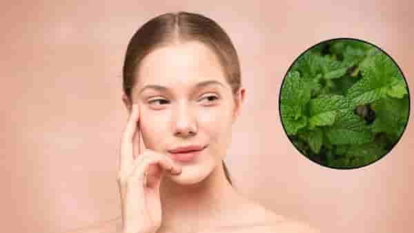 using of mints in summer: पुदीन्यामुळे उन्हाळ्यात तुमच्या त्वचेलाही होतील अनेक फायदे, एकदा नक्की ट्राय करा....