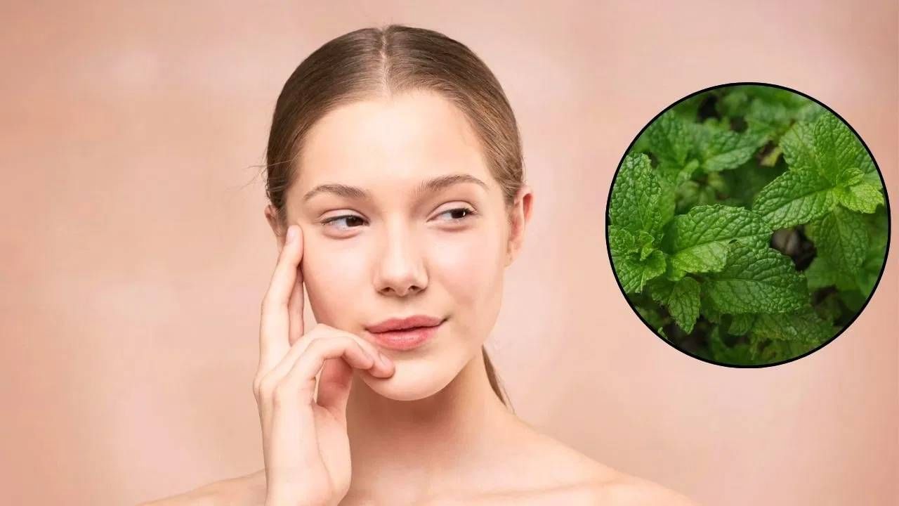 using of mints in summer: पुदीन्यामुळे उन्हाळ्यात तुमच्या त्वचेलाही होतील अनेक फायदे, एकदा नक्की ट्राय करा.... using of mints in summer: पुदीन्यामुळे उन्हाळ्यात तुमच्या त्वचेलाही होतील अनेक फायदे, एकदा नक्की ट्राय करा....