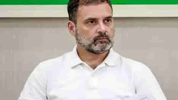 मविआ गेली खड्ड्यात..राहुल गांधी नाशिकमध्ये आल्यास तोंडाला काळं फासू - ठाकरेंच्या नेत्याचा इशारा