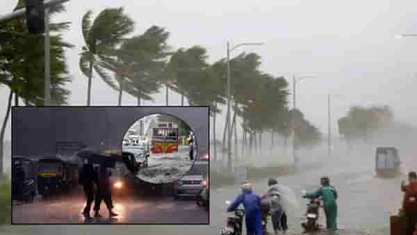 Maharashtra Rain Update : येत्या 24 तासात… राज्यात मान्सूनचा जोर वाढणार? हवामान खात्याचा मोठा इशारा काय?