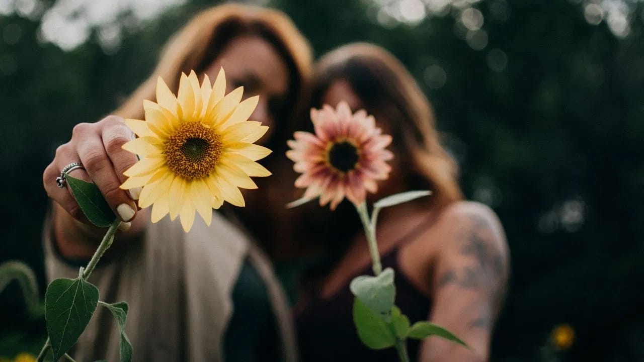 टीप: येथे दिलेली माहिती फक्त तुमच्या माहितीसाठी आहे. कोणताही उपचार करण्यापूर्वी तज्ज्ञांचा सल्ला घेणे महत्वाचे आहे. (सर्व फोटो: tv9 गुजराती)