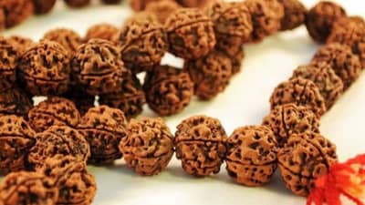 Ekmukhi Rudraksh : एकमुखी रूद्राक्ष धारण करण्याचे आहेत फायदेच फायदे, जाणून घ्या कसा ओळखाल?
