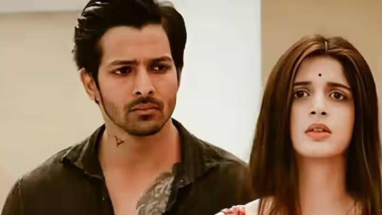 एक रुपयाही देऊ नका; ऑपरेशन सिंदूरवर टीका करणाऱ्या अभिनेत्रीवर भडकले 'सनम तेरी कसम'चे दिग्दर्शक