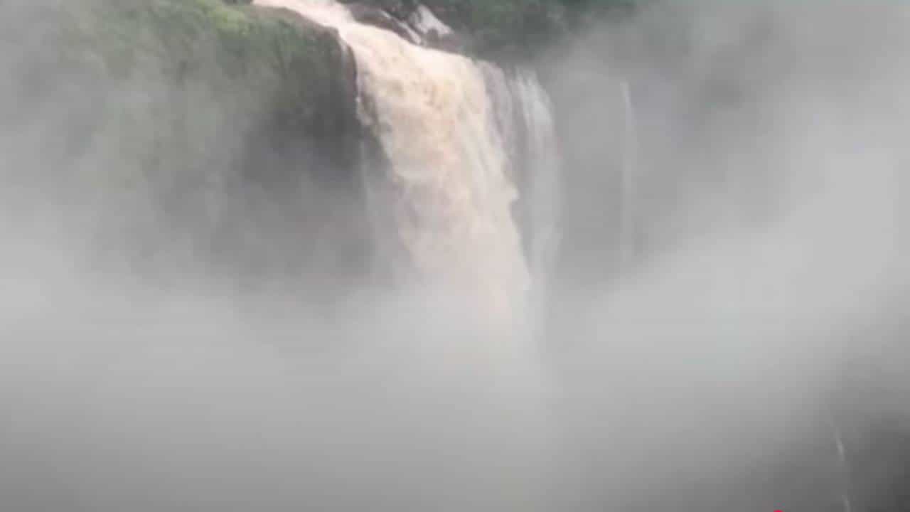 Satara Rain : मे महिन्यातच महाबळेश्वरचं सौंदर्य फुललं, लिंगमळा धबधबा फेसाळला VIDEO तर बघाच Satara Rain : मे महिन्यातच महाबळेश्वरचं सौंदर्य फुललं, लिंगमळा धबधबा फेसाळला VIDEO तर बघाच