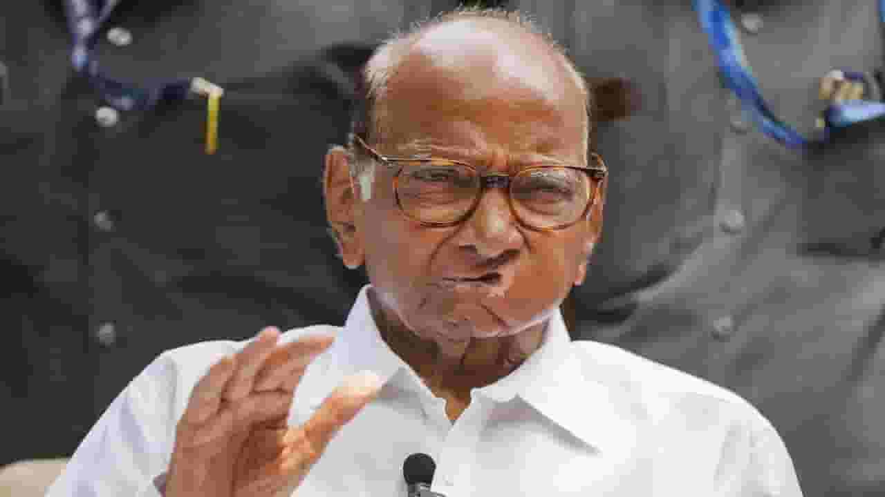 Sharad Pawar : पवारांची राष्ट्रवादी 'हा' एकच मोठा पक्ष सोडून कुणाशीही युती करण्यास तयार? मोठी बातमी काय?