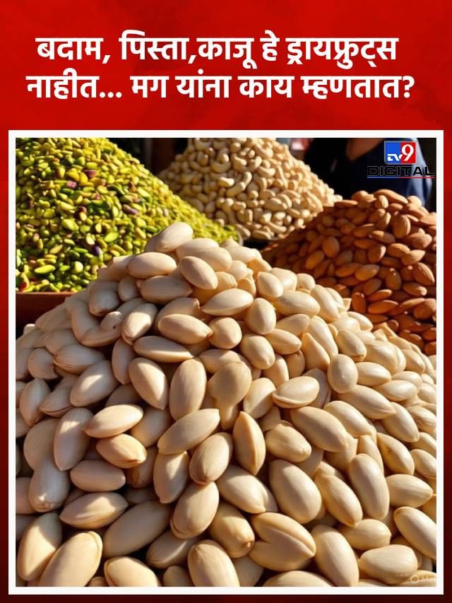 बदाम, पिस्ता आणि काजू हे ड्रायफ्रुट्स नाहीत, यांचं खरं नाव माहितीये का? बदाम, पिस्ता आणि काजू हे ड्रायफ्रुट्स नाहीत, यांचं खरं नाव माहितीये का?