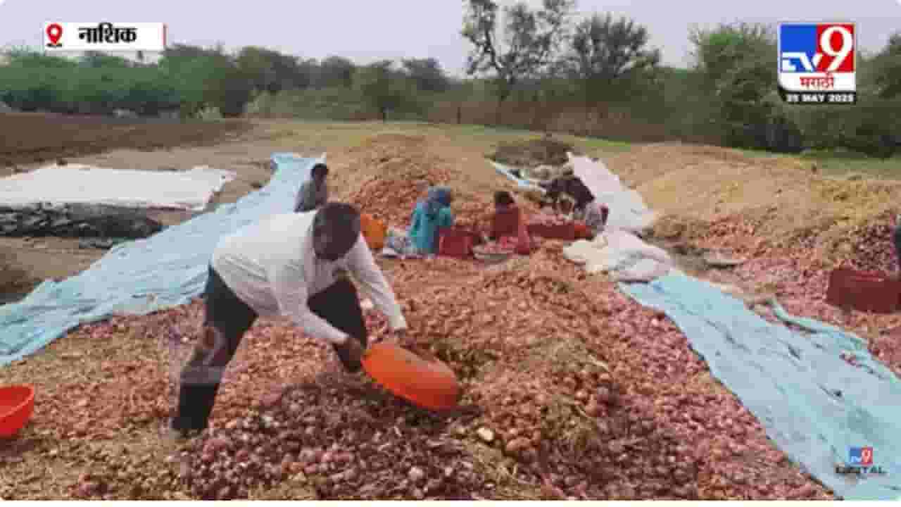 Unseasonal Rain : कांदा पुन्हा रडवणार; अवकाळीमुळे कांद्याचं पीक सडण्यास सुरुवात Unseasonal Rain : कांदा पुन्हा रडवणार; अवकाळीमुळे कांद्याचं पीक सडण्यास सुरुवात