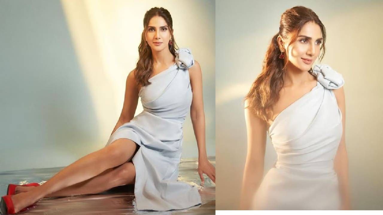 पाकिस्तानी अभिनेता फवाद खानच्या इन्स्टाग्रामवर भारतात बंदी, वाणी कपूरने उचलले मोठे पाऊल; चाहते देखील हैराण