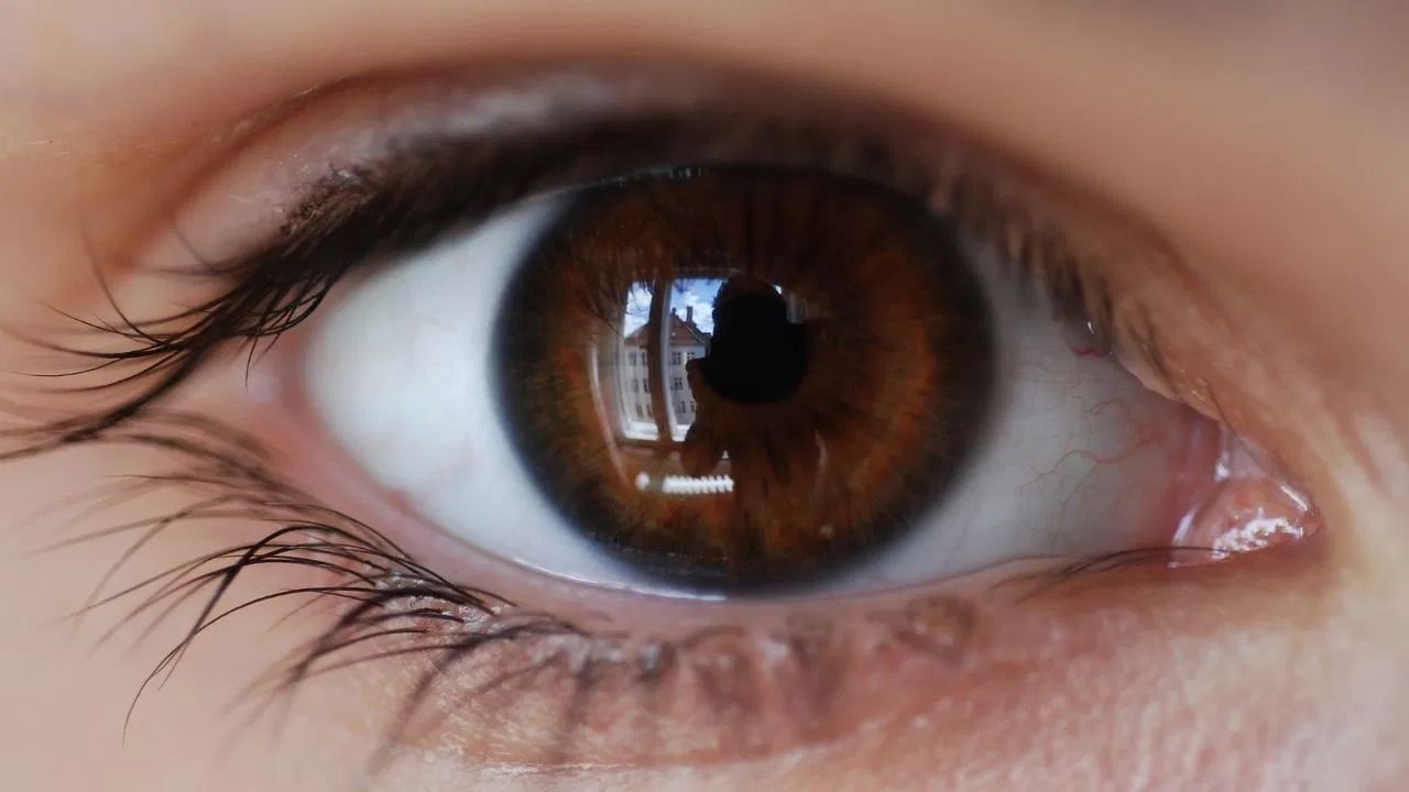 (टीप: जर तुमच्या डोळ्यांतून वारंवार पाणी येत असेल तर डॉक्टरांचा सल्ला घ्या.) (सर्व फोटो - tv9 गुजराती)